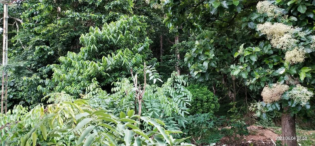 Floral Homestay Thekkady